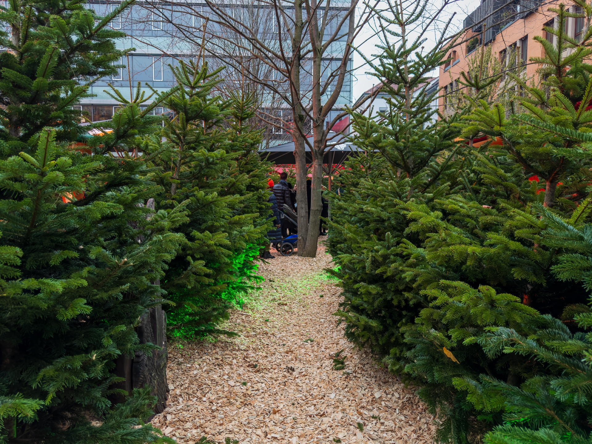 DAS areal Wintermarkt am Feuersee