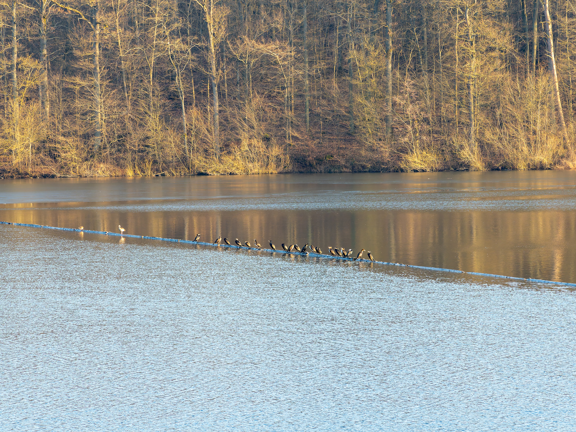 Der Stausee Ehmetsklinge bei Zaberfeld im Landkreis Heilbronn.