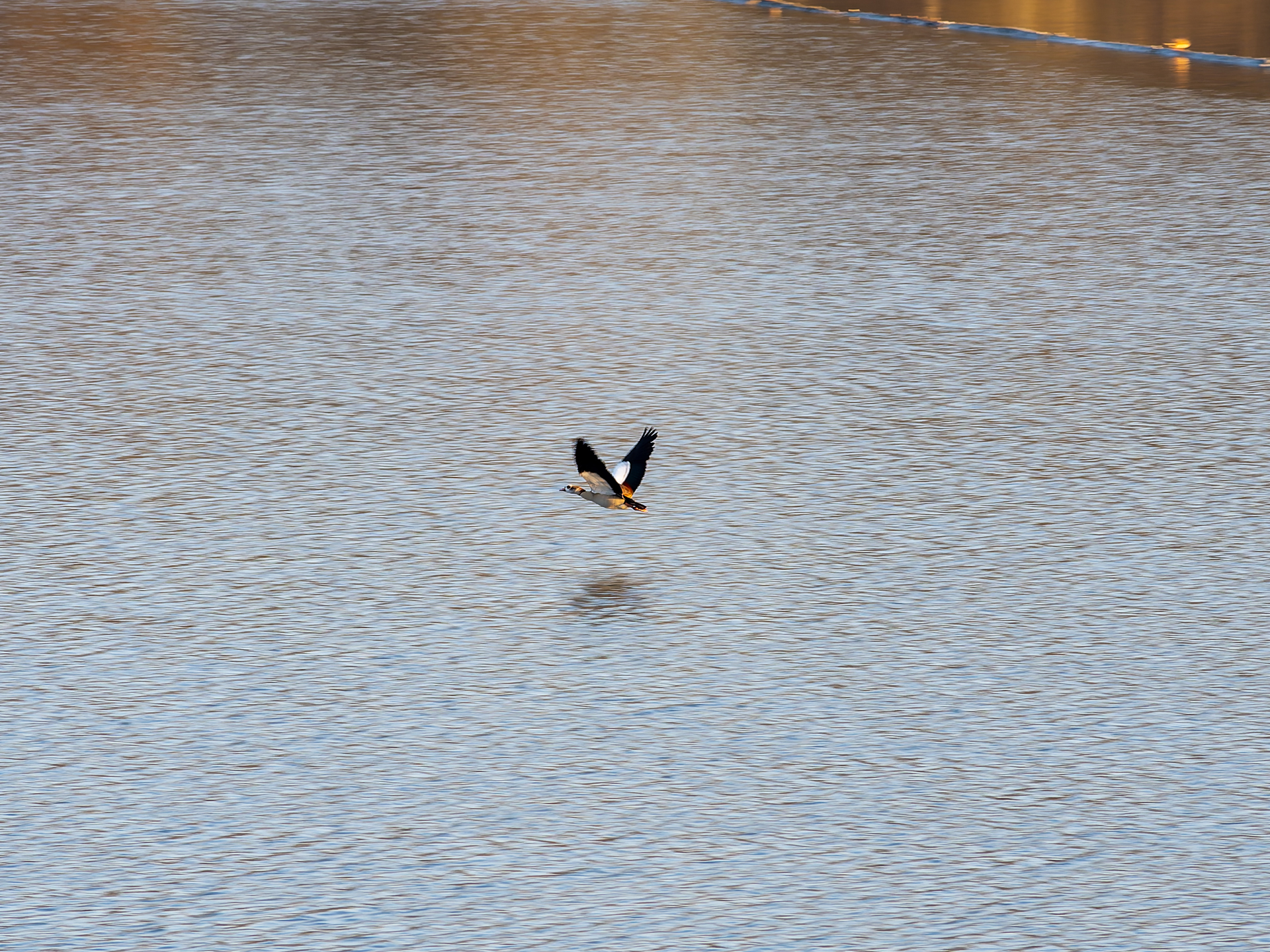 Der Stausee Ehmetsklinge bei Zaberfeld im Landkreis Heilbronn.