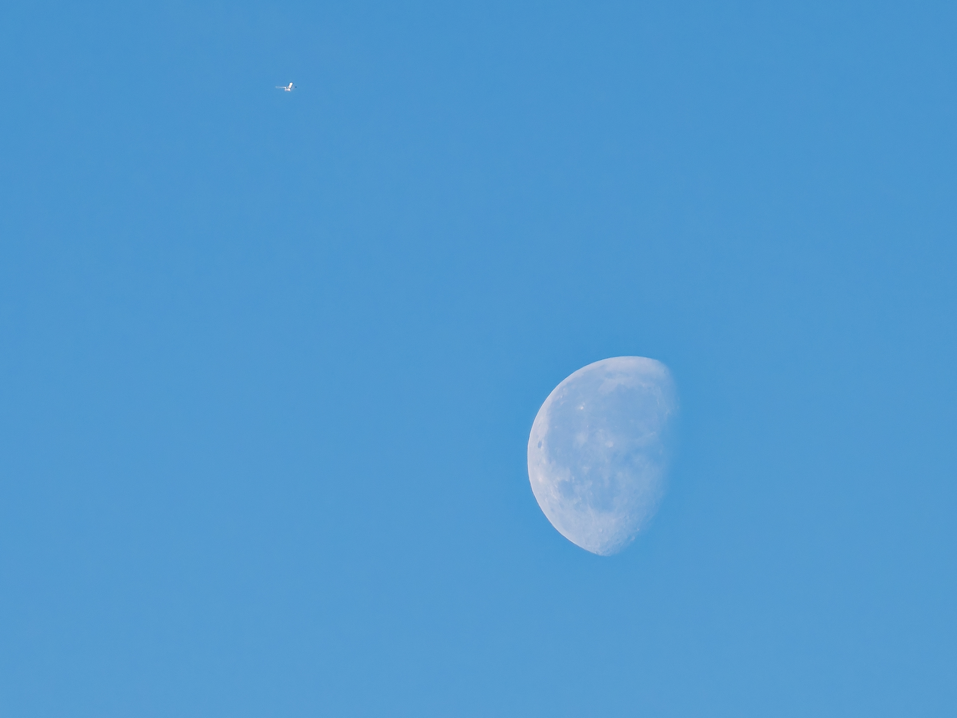 18. Mai 2025 6:50 Uhr Olympus E-M1MarkIII 1/2000 f3,5 ISO: 200