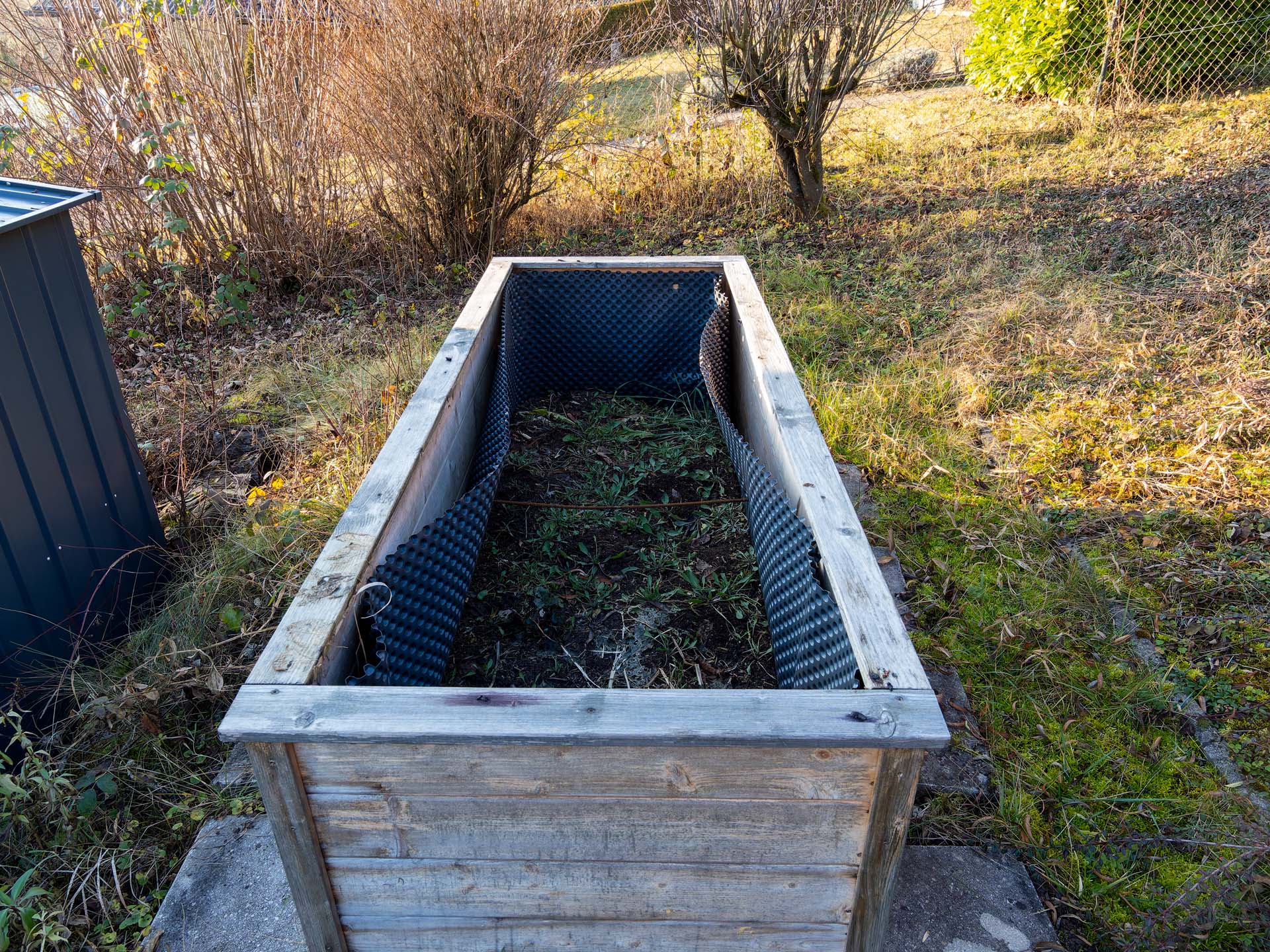 20251226_008-DxO_DeepPRIME XD2s