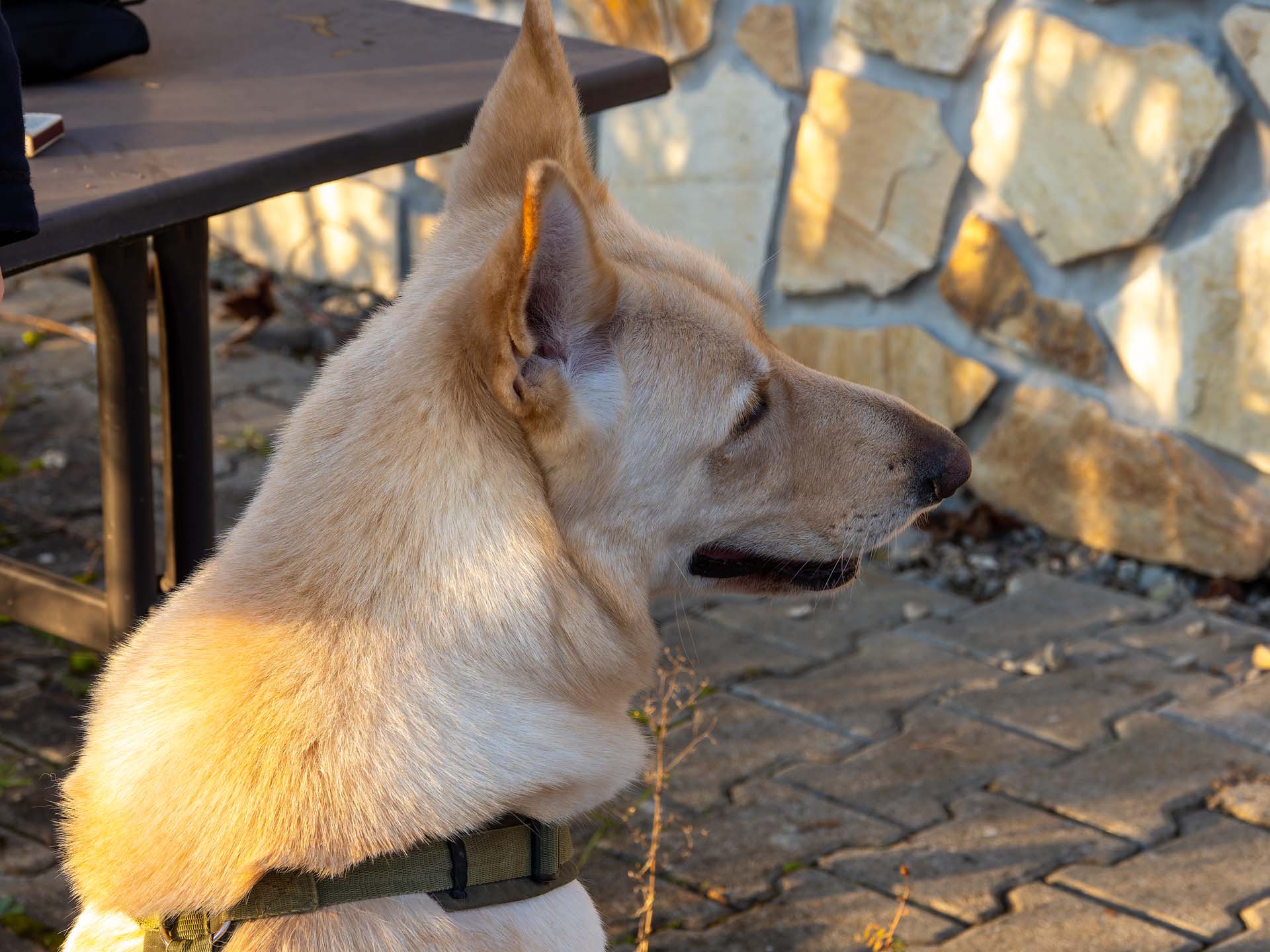 20251226_012-DxO_DeepPRIME XD2s